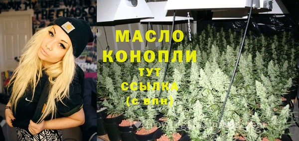 индика Горно-Алтайск