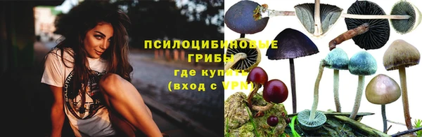 спайс Щучье