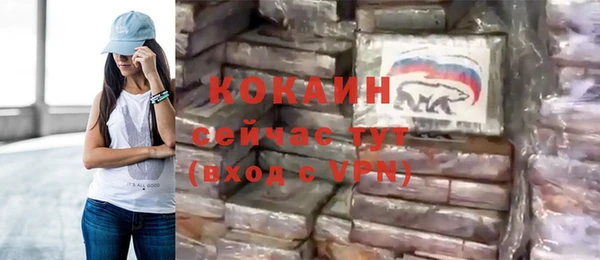 дживик Горняк