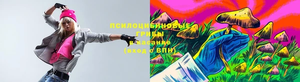индика Горно-Алтайск