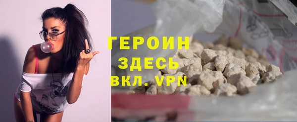 индика Горно-Алтайск