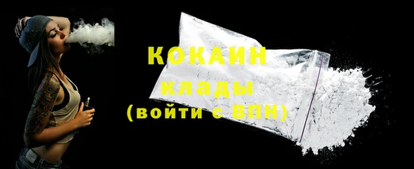 дживик Горняк