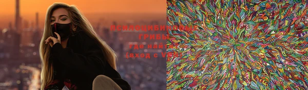 индика Горно-Алтайск