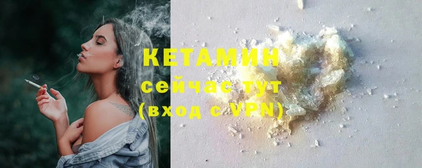 индика Горно-Алтайск