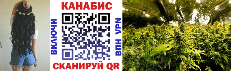 где продают   Маркс  Каннабис индика 